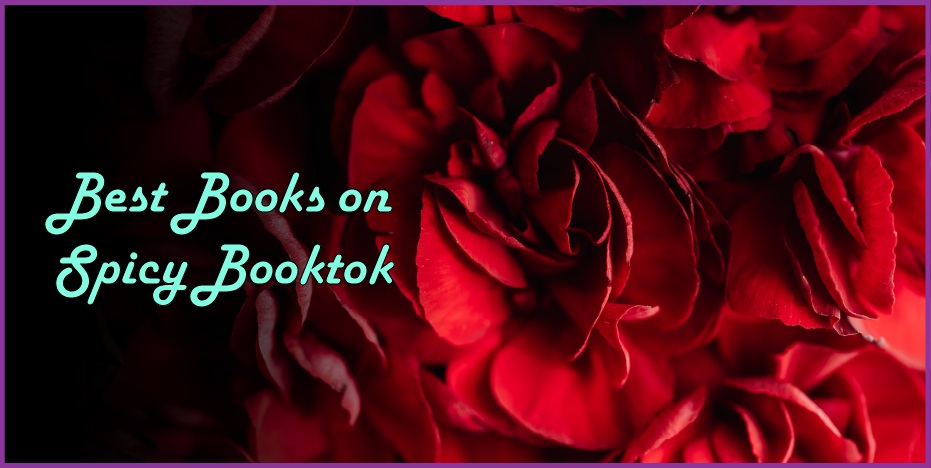 Featured image that says best books on spicy booktok